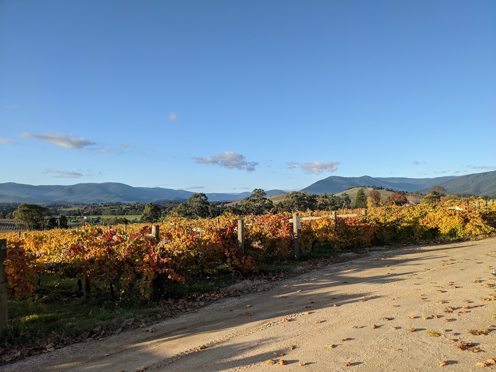 Speedrunning the Best Wineries in Australia in One Week
